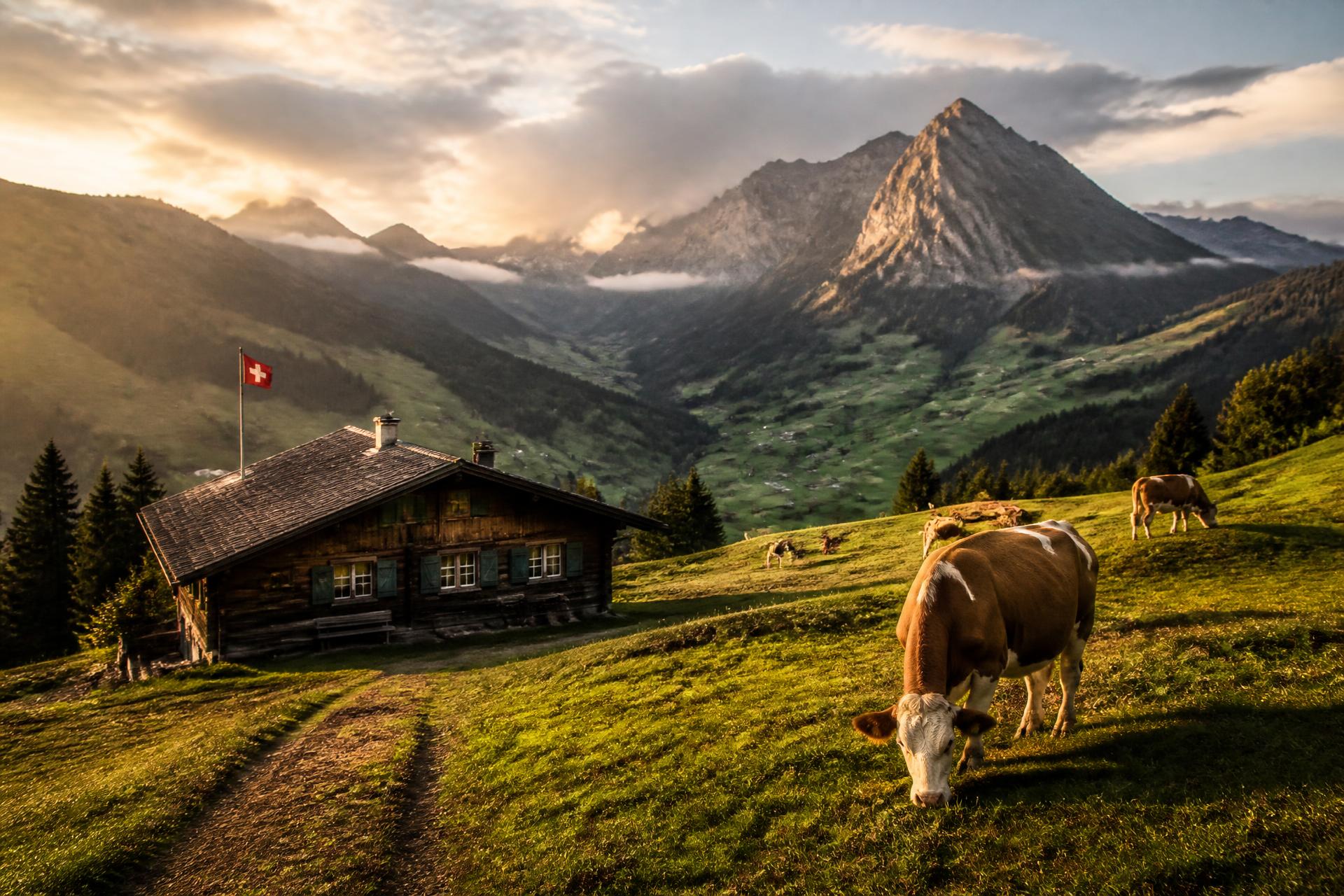 Alpine pastures and a wooden chalet above Lenk im Simmental at sunset